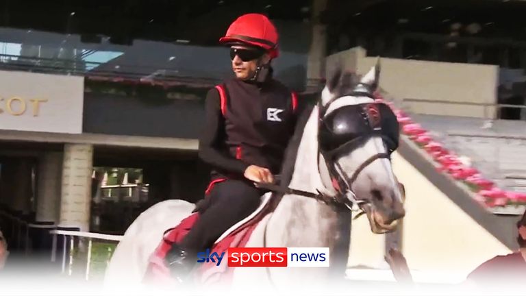 Horse wearing sunglasses at Royal Ascot! | &#39;Never seen this anything like this!&#39;